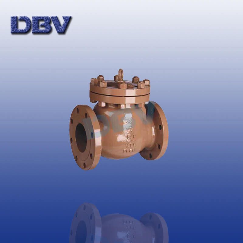 Dbv Check Valve