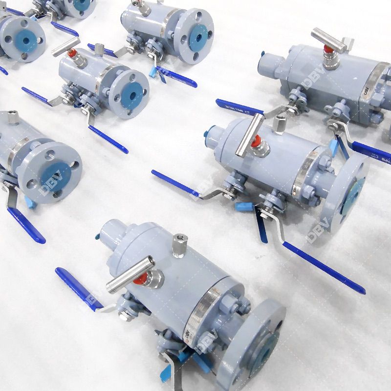 Double block and bleed Valve 3/4 inch Class 600 - Floating ball valves