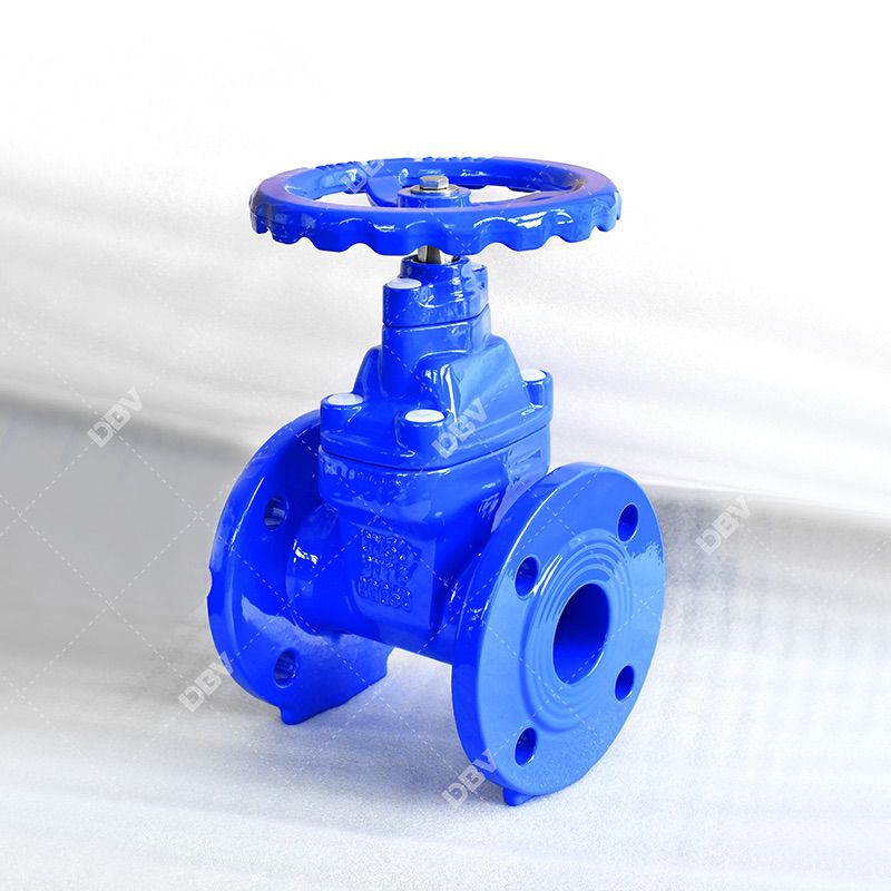Resilient seated gate valve manufacturer