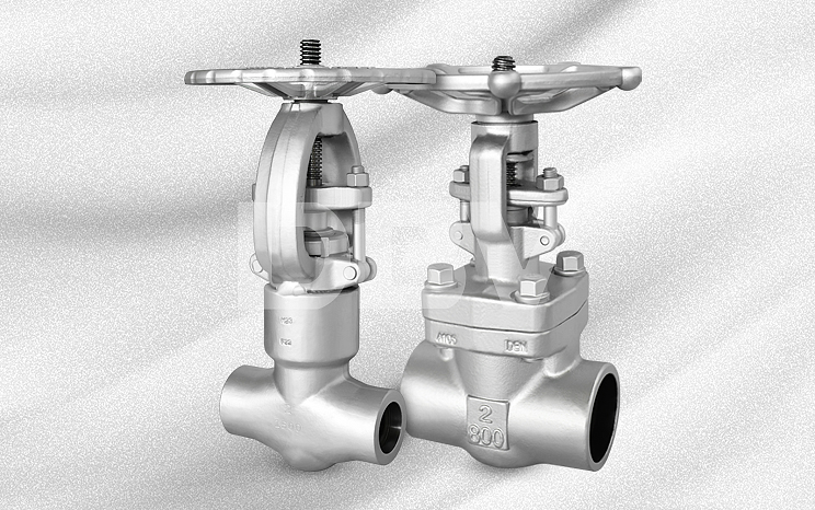 What is High Pressure Gate Valve？