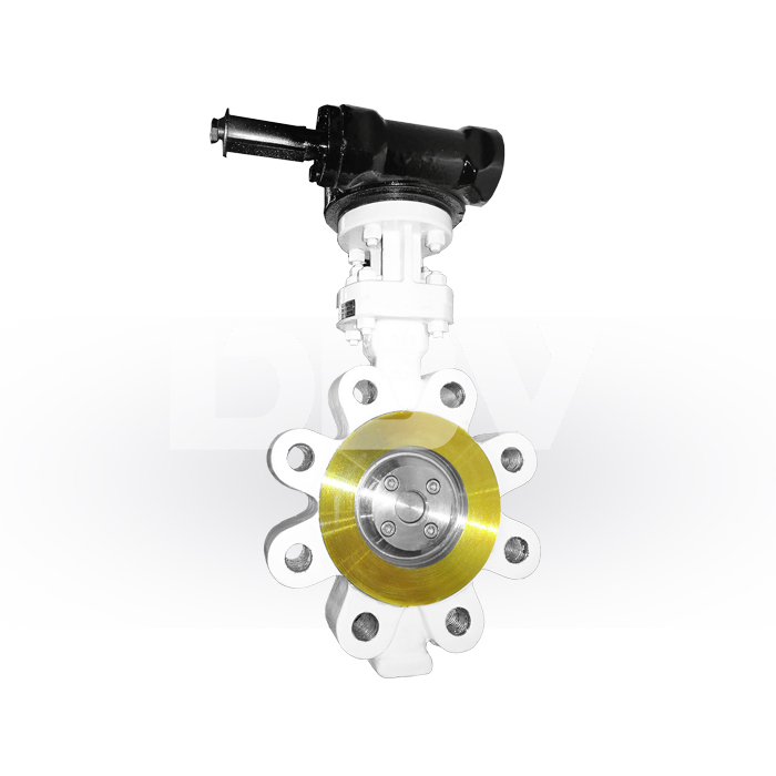 DN300 Lug Type Butterfly Valve for General Flow Control Applications