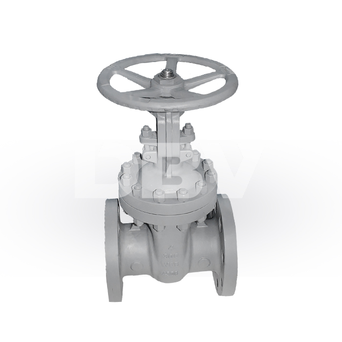 4 Inch 800LB Wedged Carbon Steel Gate Valve