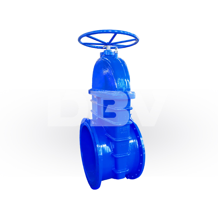 Manual Resilient-Seated Gate Valve