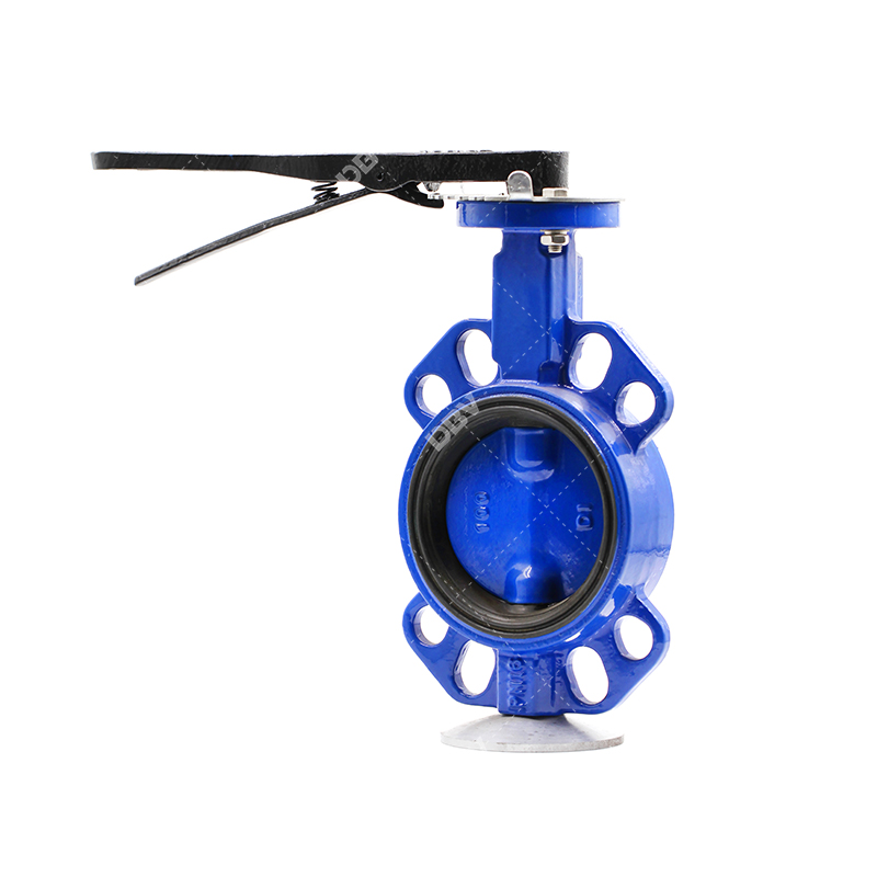 DN250 Bare Shaft Cast Iron Wafer Butterfly Valve for General Flow Control