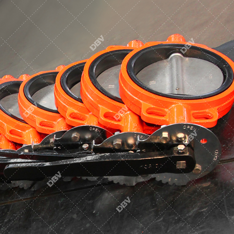 DN250 Bare Shaft Cast Iron Wafer Butterfly Valve for General Flow Control
