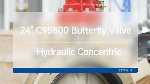 24 Inch C95800 Nickel Aluminum Bronze Hydraulic Concentric Butterfly Valve