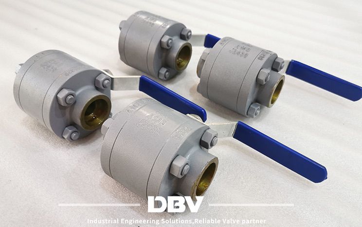 Forged type ball valves