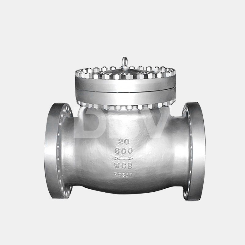 Industrial Swing Check Valve
