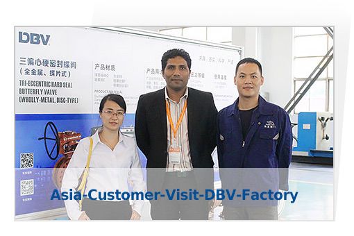 Asia-Customer-Visit-DBV-Factory